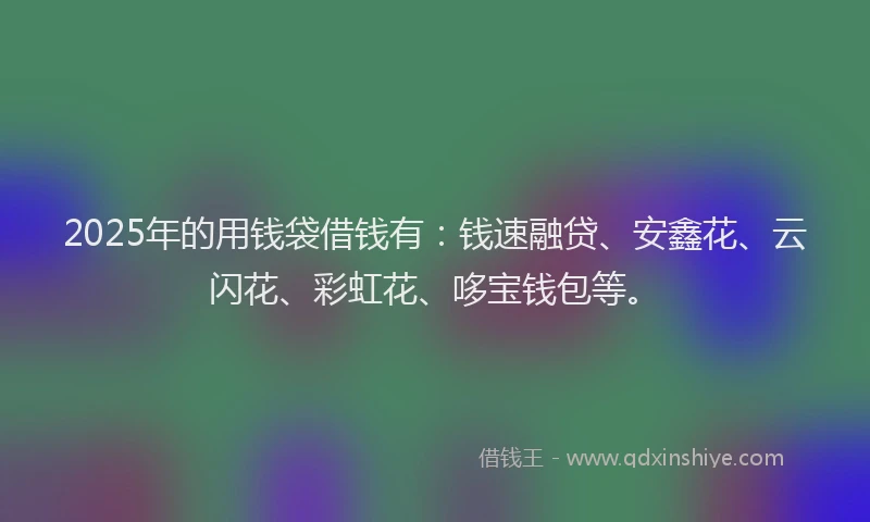 2025年的用钱袋借钱有：钱速融贷、安鑫花、云闪花、彩虹花、哆宝钱包等。
