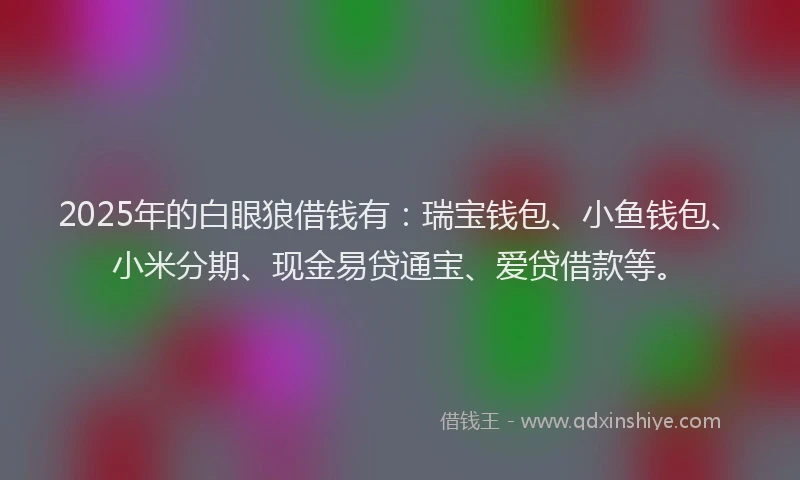 2025年的白眼狼借钱有：瑞宝钱包、小鱼钱包、小米分期、现金易贷通宝、爱贷借款等。