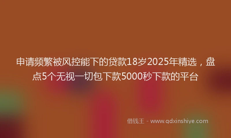 申请频繁被风控能下的贷款18岁2025年精选，盘点5个无视一切包下款5000秒下款的平台
