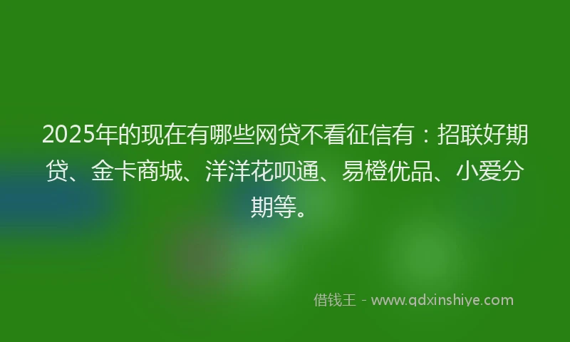 2025年的现在有哪些网贷不看征信有：招联好期贷、金卡商城、洋洋花呗通、易橙优品、小爱分期等。