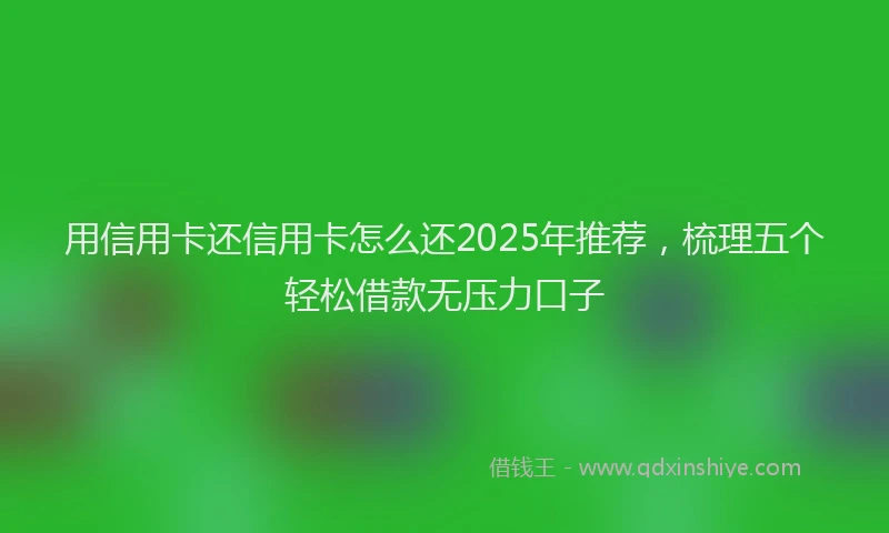 用信用卡还信用卡怎么还2025年推荐，梳理五个轻松借款无压力口子