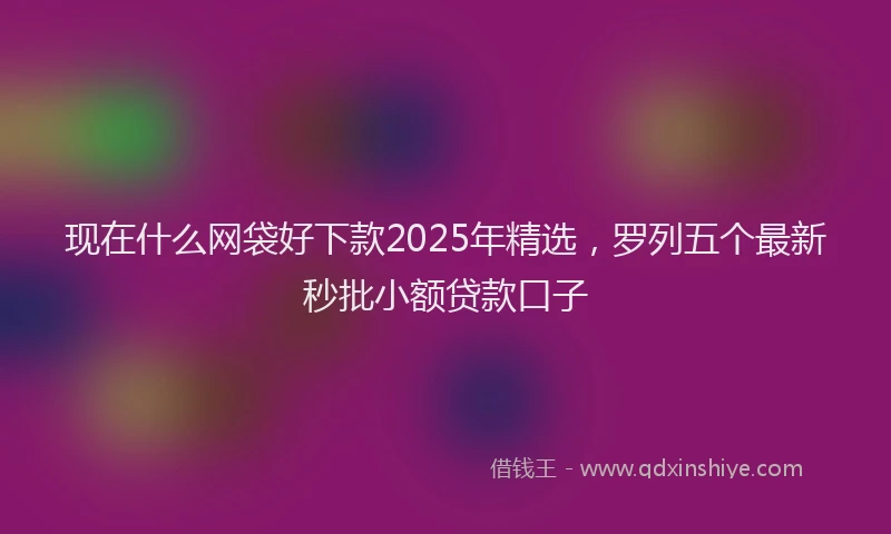 现在什么网袋好下款2025年精选，罗列五个最新秒批小额贷款口子