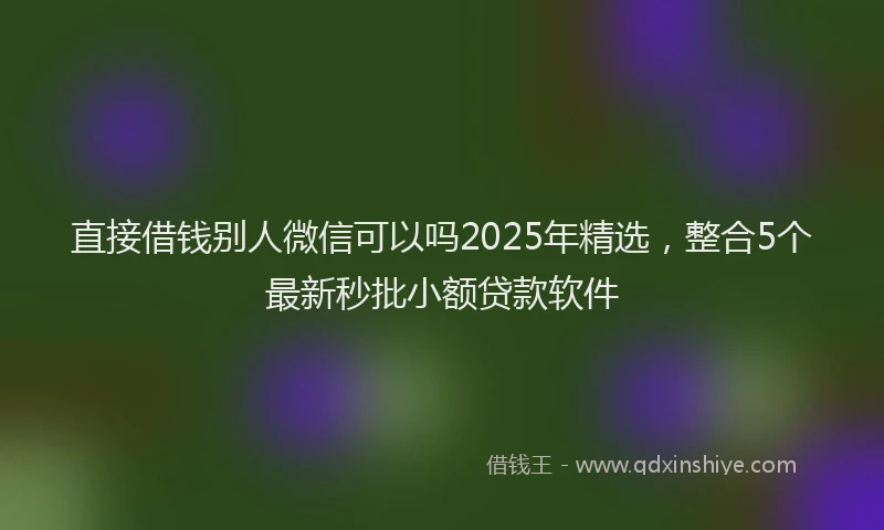 直接借钱别人微信可以吗2025年精选，整合5个最新秒批小额贷款软件