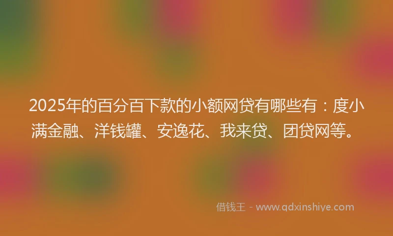2025年的百分百下款的小额网贷有哪些有：度小满金融、洋钱罐、安逸花、我来贷、团贷网等。