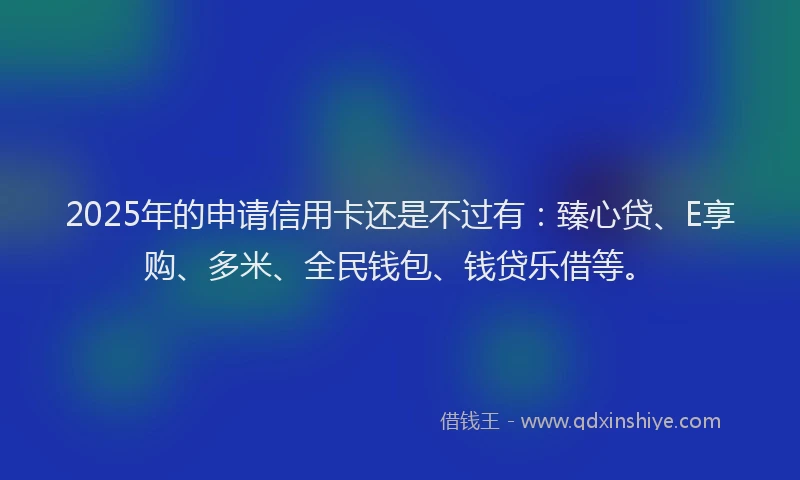 2025年的申请信用卡还是不过有：臻心贷、E享购、多米、全民钱包、钱贷乐借等。