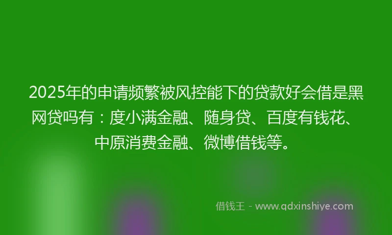 2025年的申请频繁被风控能下的贷款好会借是黑网贷吗有：度小满金融、随身贷、百度有钱花、中原消费金融、微博借钱等。