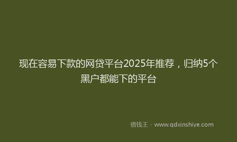 现在容易下款的网贷平台2025年推荐，归纳5个黑户都能下的平台