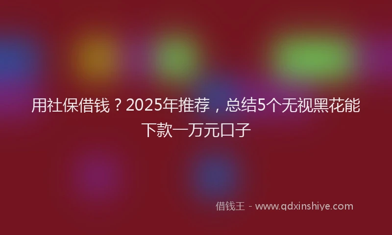 用社保借钱？2025年推荐，总结5个无视黑花能下款一万元口子