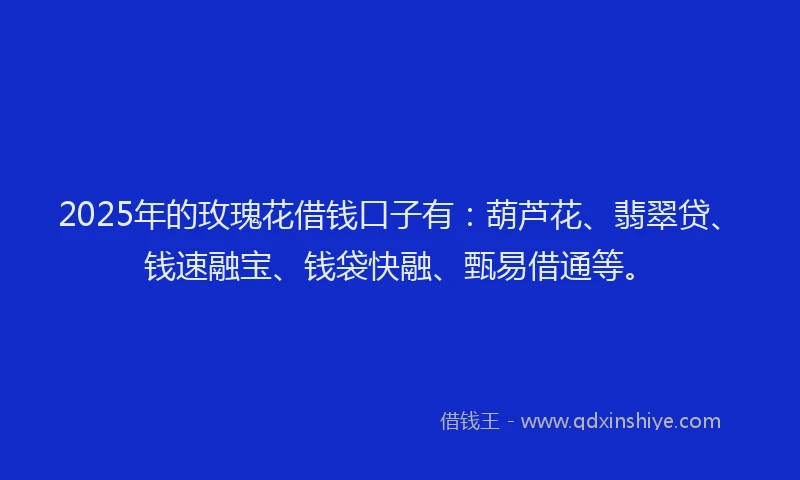 2025年的玫瑰花借钱口子有：葫芦花、翡翠贷、钱速融宝、钱袋快融、甄易借通等。