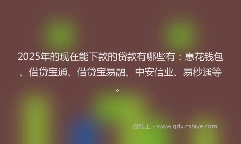 2025年的现在能下款的贷款有哪些有：惠花钱包、借贷宝通、借贷宝易融、中安信业、易秒通等。