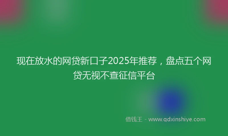 现在放水的网贷新口子2025年推荐，盘点五个网贷无视不查征信平台