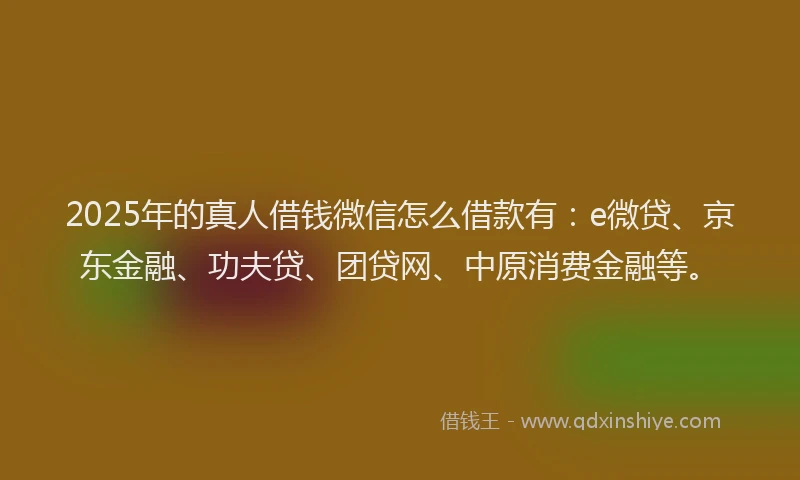 2025年的真人借钱微信怎么借款有：e微贷、京东金融、功夫贷、团贷网、中原消费金融等。