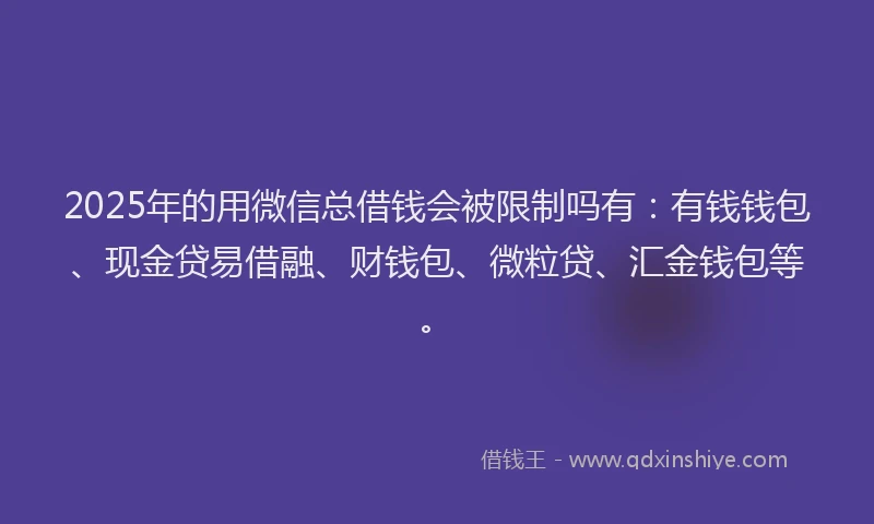 2025年的用微信总借钱会被限制吗有：有钱钱包、现金贷易借融、财钱包、微粒贷、汇金钱包等。