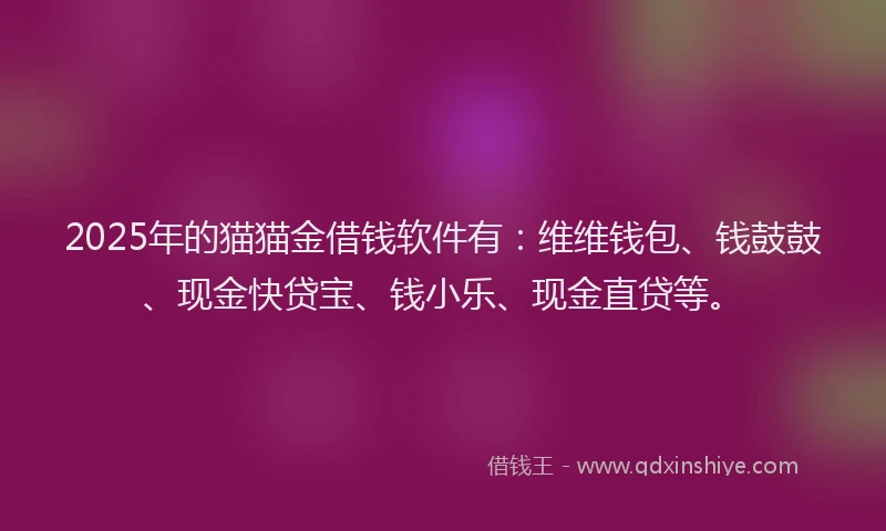 2025年的猫猫金借钱软件有：维维钱包、钱鼓鼓、现金快贷宝、钱小乐、现金直贷等。