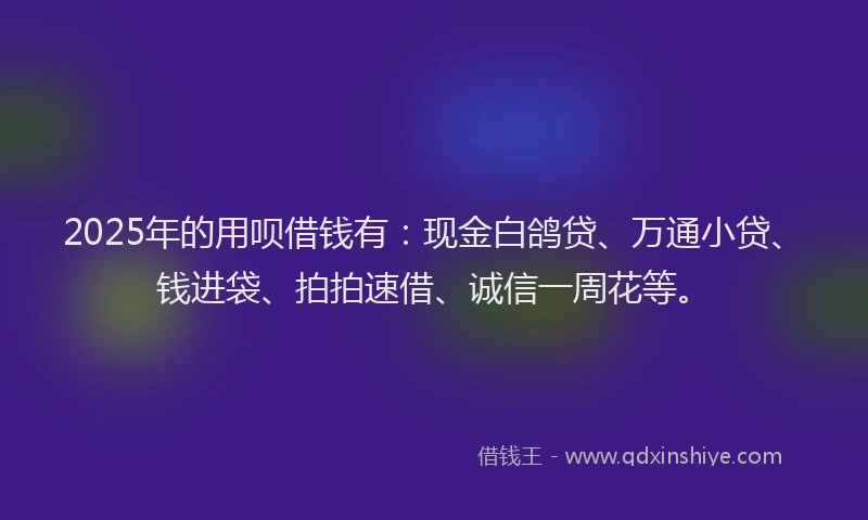 2025年的用呗借钱有：现金白鸽贷、万通小贷、钱进袋、拍拍速借、诚信一周花等。