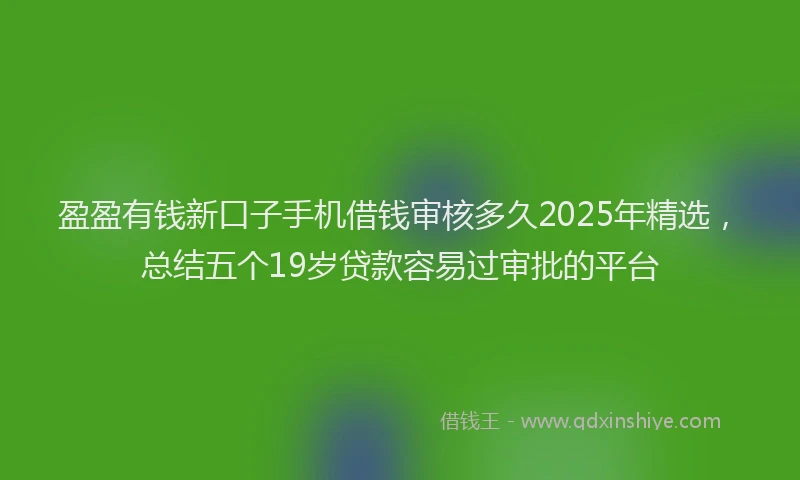 盈盈有钱新口子手机借钱审核多久2025年精选，总结五个19岁贷款容易过审批的平台