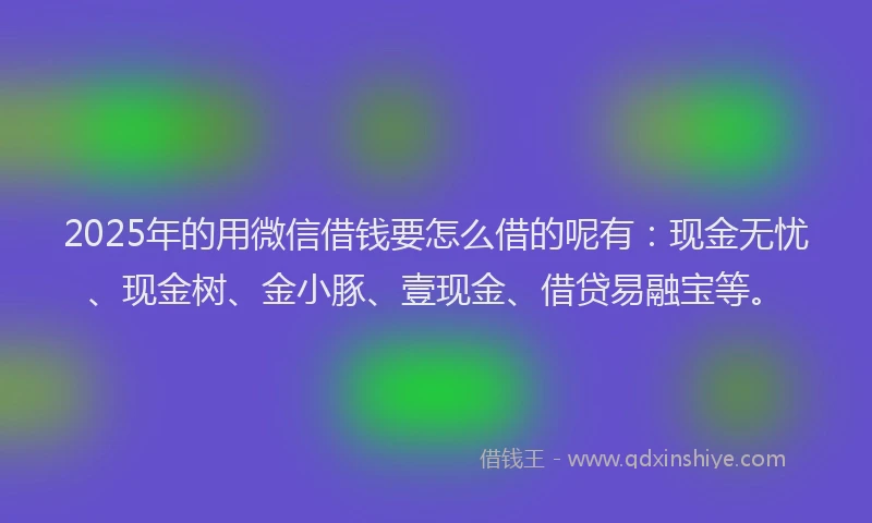 2025年的用微信借钱要怎么借的呢有：现金无忧、现金树、金小豚、壹现金、借贷易融宝等。
