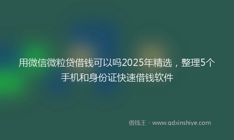 用微信微粒贷借钱可以吗2025年精选，整理5个手机和身份证快速借钱软件