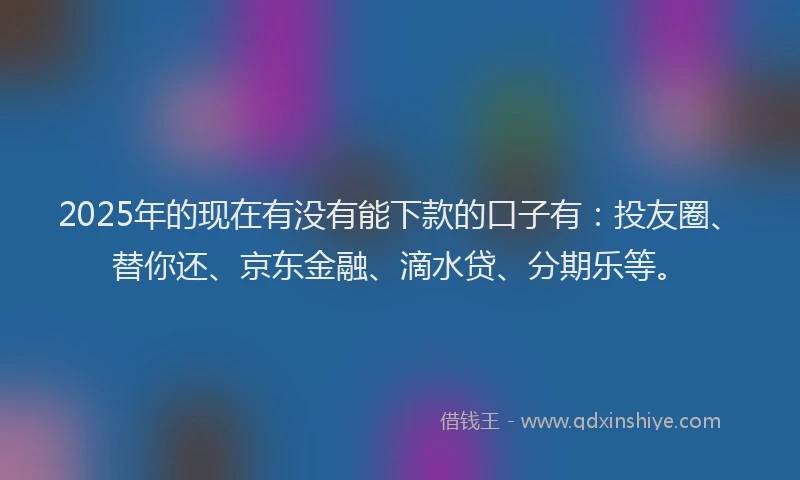 2025年的现在有没有能下款的口子有：投友圈、替你还、京东金融、滴水贷、分期乐等。