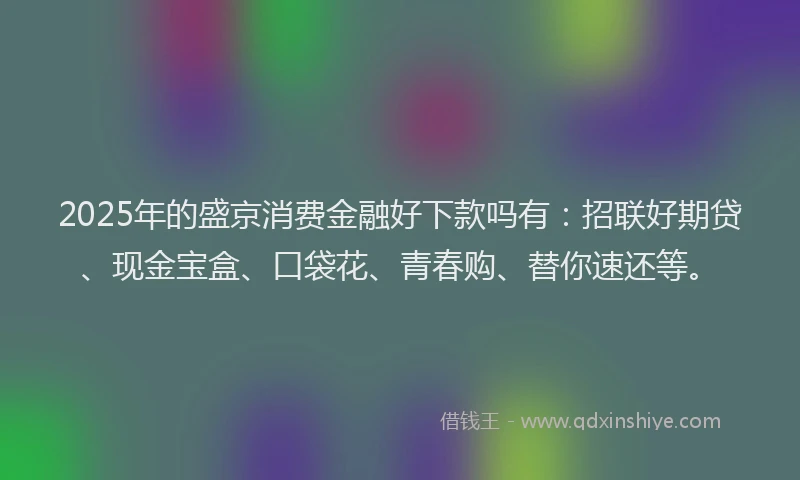 2025年的盛京消费金融好下款吗有：招联好期贷、现金宝盒、口袋花、青春购、替你速还等。