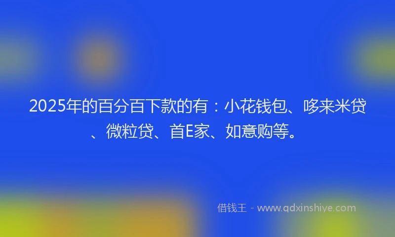 2025年的百分百下款的有：小花钱包、哆来米贷、微粒贷、首E家、如意购等。