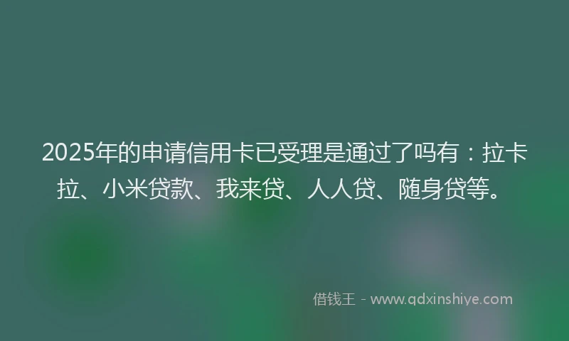 2025年的申请信用卡已受理是通过了吗有：拉卡拉、小米贷款、我来贷、人人贷、随身贷等。