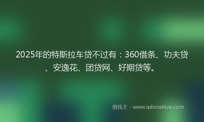 2025年的特斯拉车贷不过有：360借条、功夫贷、安逸花、团贷网、好期贷等。
