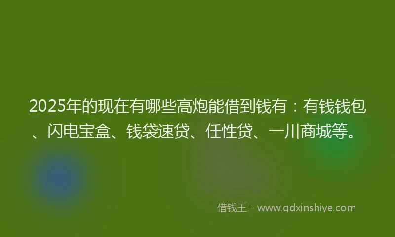2025年的现在有哪些高炮能借到钱有：有钱钱包、闪电宝盒、钱袋速贷、任性贷、一川商城等。