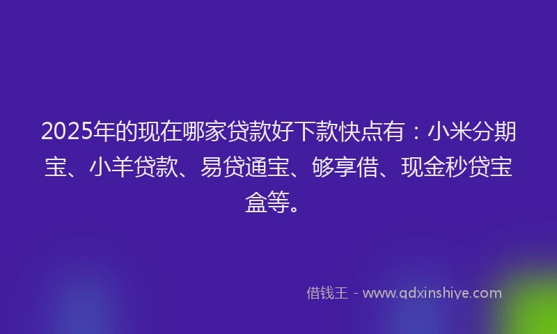 2025年的现在哪家贷款好下款快点有：小米分期宝、小羊贷款、易贷通宝、够享借、现金秒贷宝盒等。