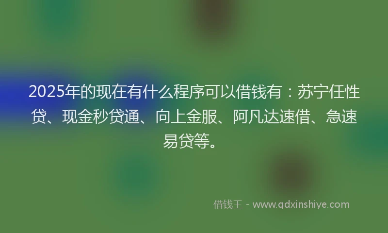 2025年的现在有什么程序可以借钱有：苏宁任性贷、现金秒贷通、向上金服、阿凡达速借、急速易贷等。