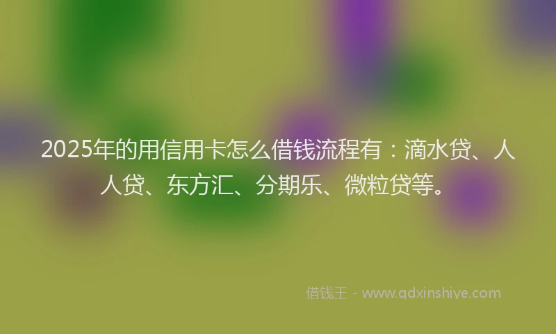 2025年的用信用卡怎么借钱流程有：滴水贷、人人贷、东方汇、分期乐、微粒贷等。