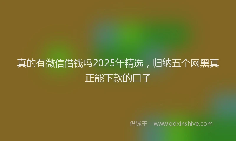 真的有微信借钱吗2025年精选，归纳五个网黑真正能下款的口子