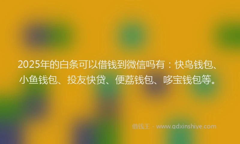 2025年的白条可以借钱到微信吗有：快鸟钱包、小鱼钱包、投友快贷、便荔钱包、哆宝钱包等。
