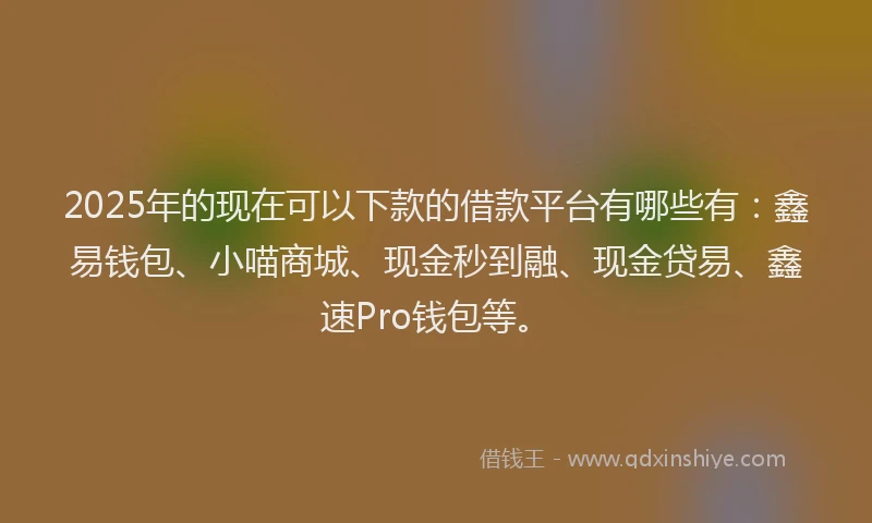 2025年的现在可以下款的借款平台有哪些有：鑫易钱包、小喵商城、现金秒到融、现金贷易、鑫速Pro钱包等。