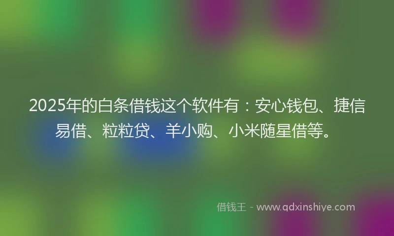 2025年的白条借钱这个软件有：安心钱包、捷信易借、粒粒贷、羊小购、小米随星借等。
