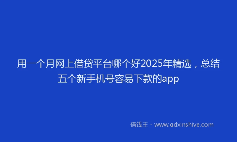 用一个月网上借贷平台哪个好2025年精选，总结五个新手机号容易下款的app