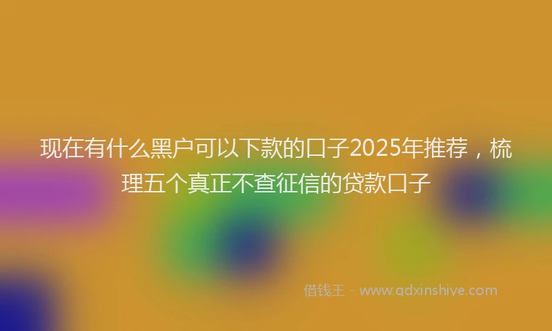 现在有什么黑户可以下款的口子2025年推荐，梳理五个真正不查征信的贷款口子
