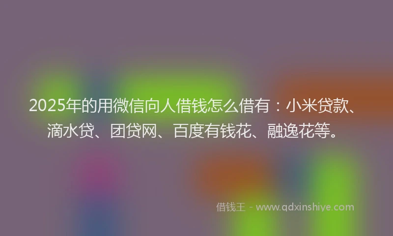 2025年的用微信向人借钱怎么借有：小米贷款、滴水贷、团贷网、百度有钱花、融逸花等。