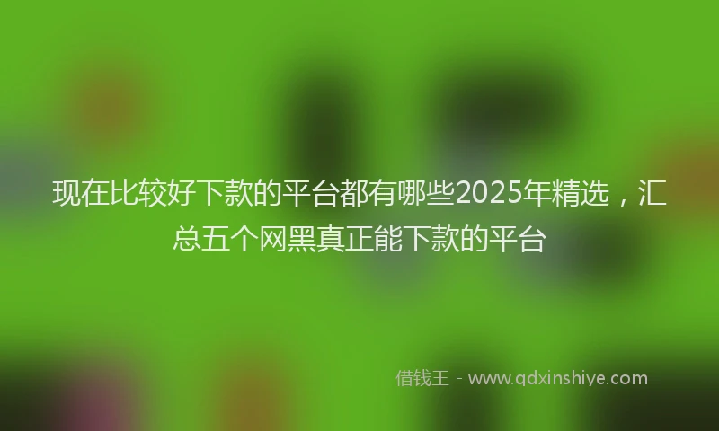 现在比较好下款的平台都有哪些2025年精选，汇总五个网黑真正能下款的平台