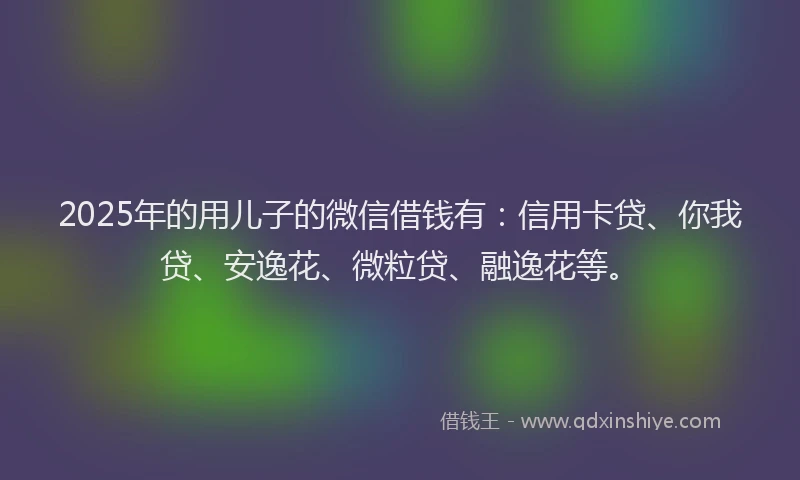 2025年的用儿子的微信借钱有：信用卡贷、你我贷、安逸花、微粒贷、融逸花等。