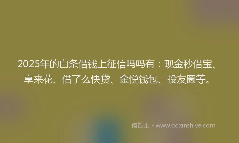 2025年的白条借钱上征信吗吗有：现金秒借宝、享来花、借了么快贷、金悦钱包、投友圈等。