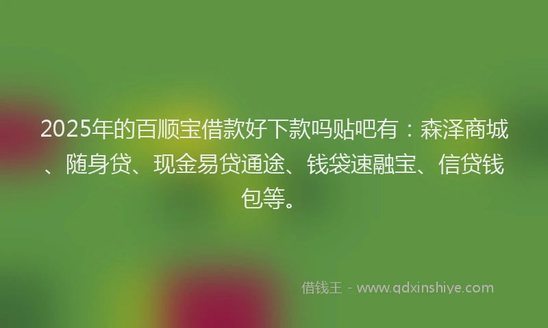 2025年的百顺宝借款好下款吗贴吧有：森泽商城、随身贷、现金易贷通途、钱袋速融宝、信贷钱包等。