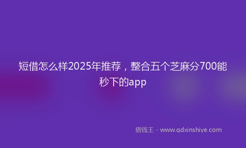 短借怎么样2025年推荐，整合五个芝麻分700能秒下的app