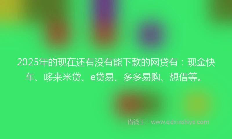 2025年的现在还有没有能下款的网贷有：现金快车、哆来米贷、e贷易、多多易购、想借等。