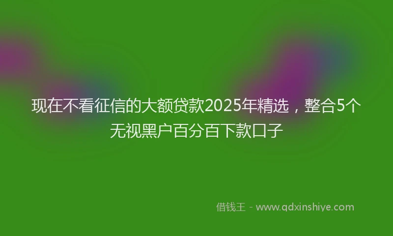 现在不看征信的大额贷款2025年精选，整合5个无视黑户百分百下款口子
