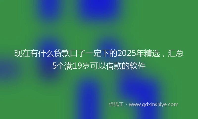 现在有什么贷款口子一定下的2025年精选，汇总5个满19岁可以借款的软件