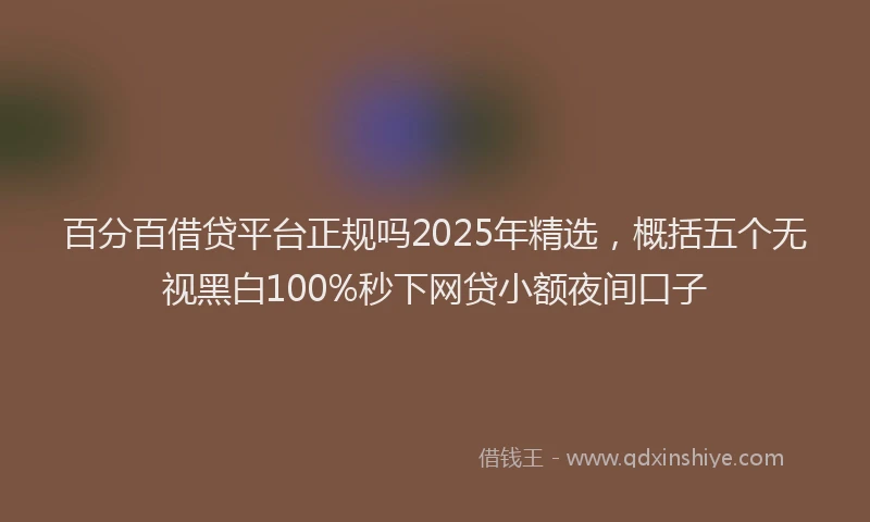 百分百借贷平台正规吗2025年精选，概括五个无视黑白100%秒下网贷小额夜间口子
