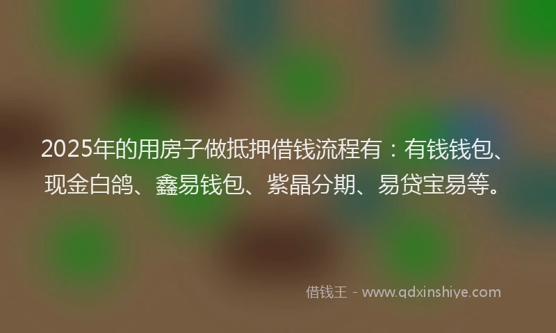 2025年的用房子做抵押借钱流程有：有钱钱包、现金白鸽、鑫易钱包、紫晶分期、易贷宝易等。
