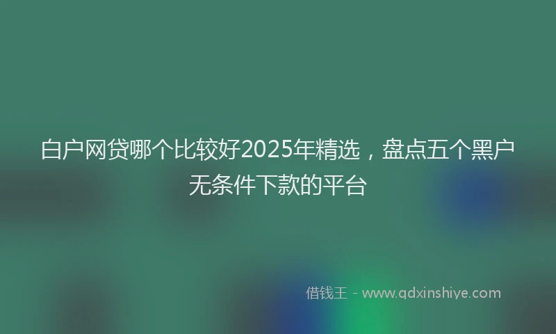 白户网贷哪个比较好2025年精选，盘点五个黑户无条件下款的平台