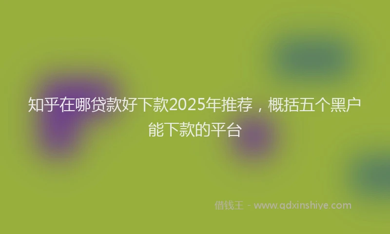 知乎在哪贷款好下款2025年推荐，概括五个黑户能下款的平台